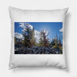 850_6878 Pillow