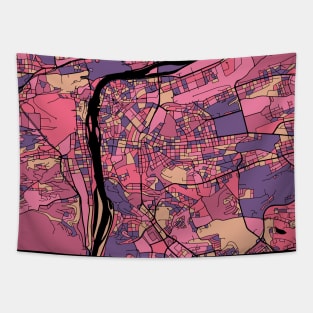 Prague Map Pattern in Purple & Pink Tapestry