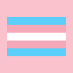 Transgender flag T-Shirt