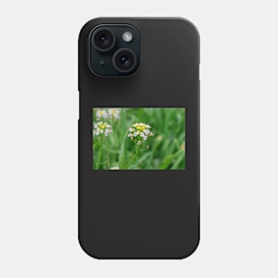 Summer flower Phone Case