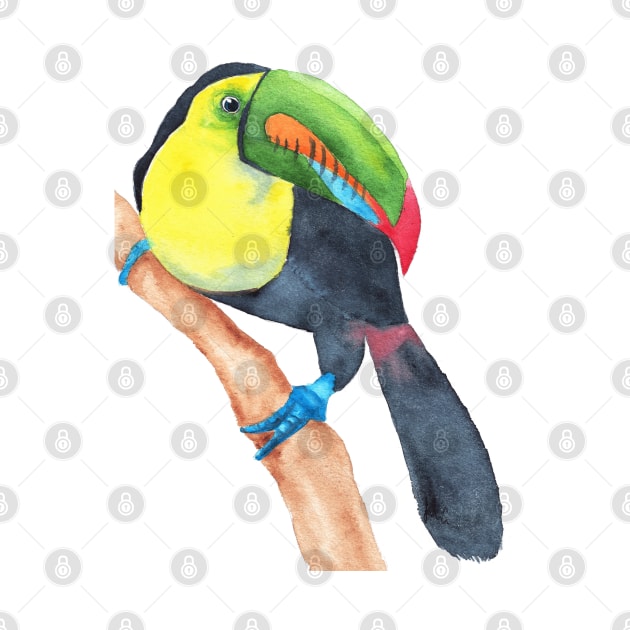 Toucan tocard watercolor by Oranjade0122