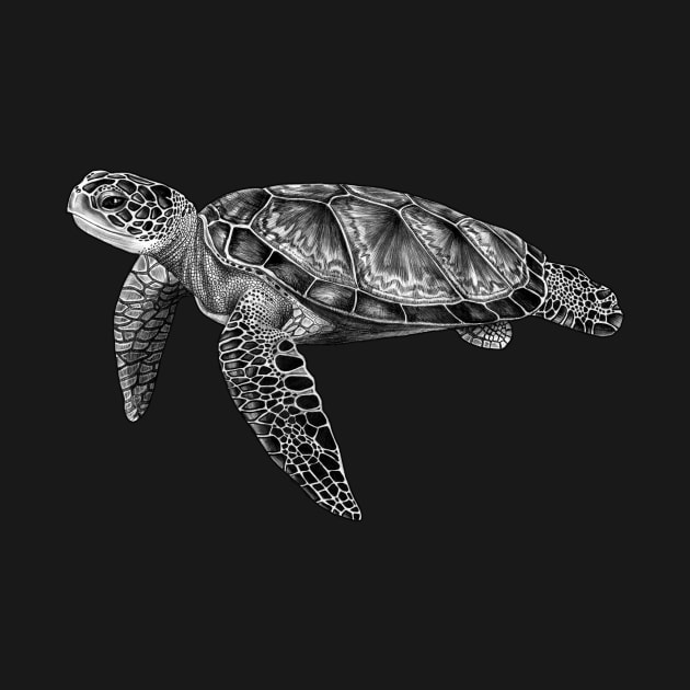 Sea Turtle by Tim Jeffs Art