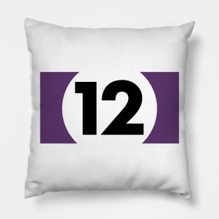 Billiard, Twelve Ball Pillow