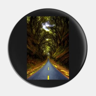 Autumn Road Pin