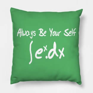 Funny Math Integration e power x Always Be Your Self Pillow