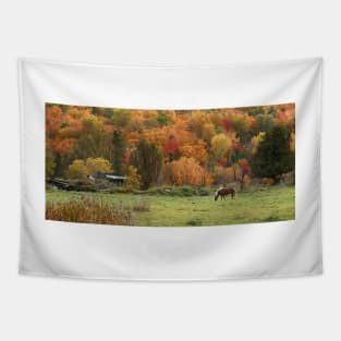 Fall Horse, Lake Ste-Marie, Quebec Tapestry