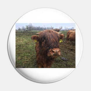 Scottish Highland Cattle Calf 1993 Pin