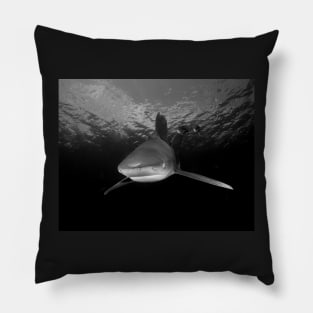 Approaching Oceanic White Tip Shark Pillow