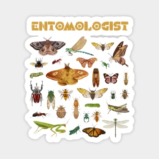 Entomologist Magnet