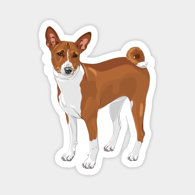 Basenji Magnet by kavalenkava