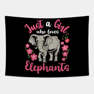 Elephant Elephant Lover Zookeeper Tapestry