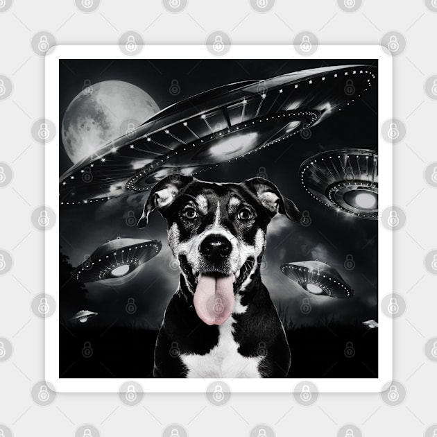 Selfie of Funny Dog And Aliens UFO  3 Magnet by Megadorim