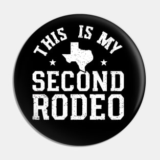 This is my second rodeo v1 Pin