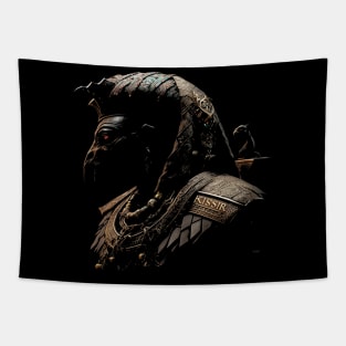 OSIRIS Tapestry