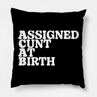 Assigned Cunt at Birth | ACAB | Parody Pillow