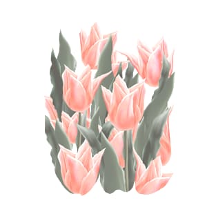 Stylish Peach Tulips Flowers Watercolor Illustration, coral pink color background T-Shirt