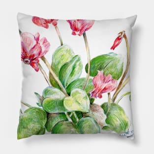 Color pencil of Cyclamen Flower Pillow