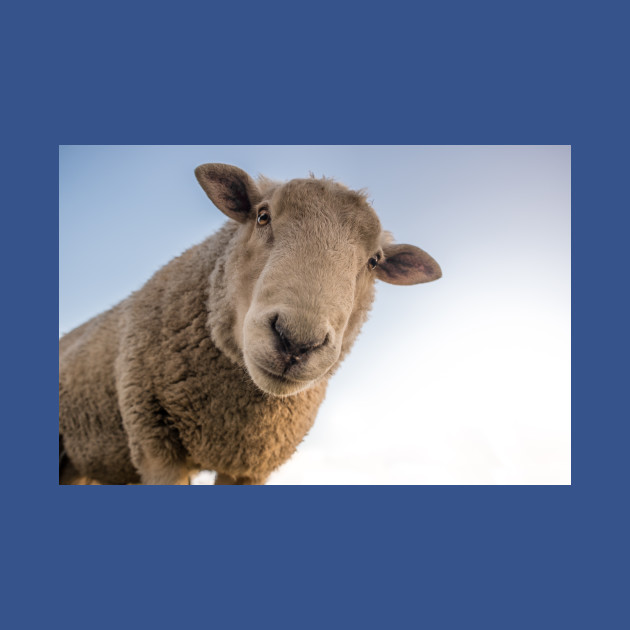 Disover Peeping Sheep - Sheep Face - T-Shirt
