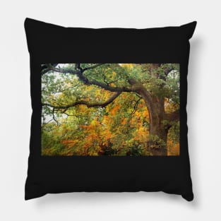 Autumn Warmth Pillow