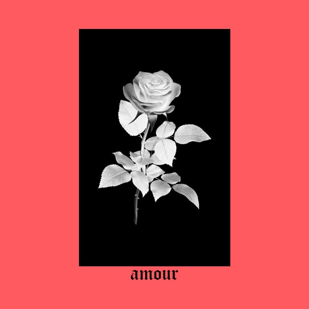 Artist Union Amour Rose by FlaglerSupply