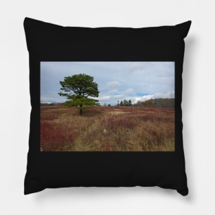 The Big Meadow Pillow