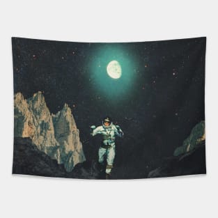 Searching for Happiness out of this Transitional World Tapestry