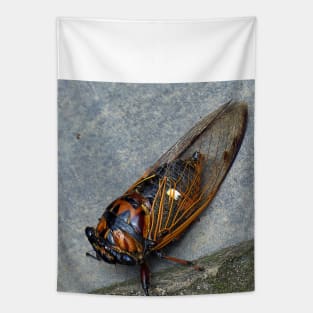 Cicada Tapestry