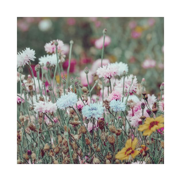 Wildflowers in the breeze III by RoseAesthetic