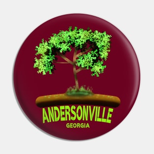 Andersonville Georgia Pin