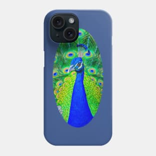 Peacock Style Phone Case