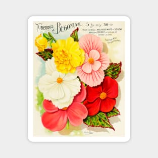 Vick's Garden and Floral Guide (1898) Magnet