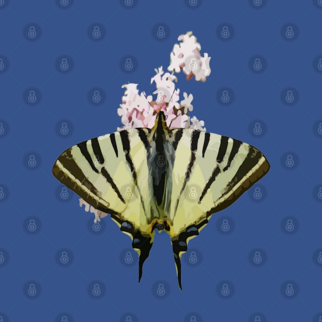 Swallowtail On Wild Garlic Flowers Cut Out by taiche