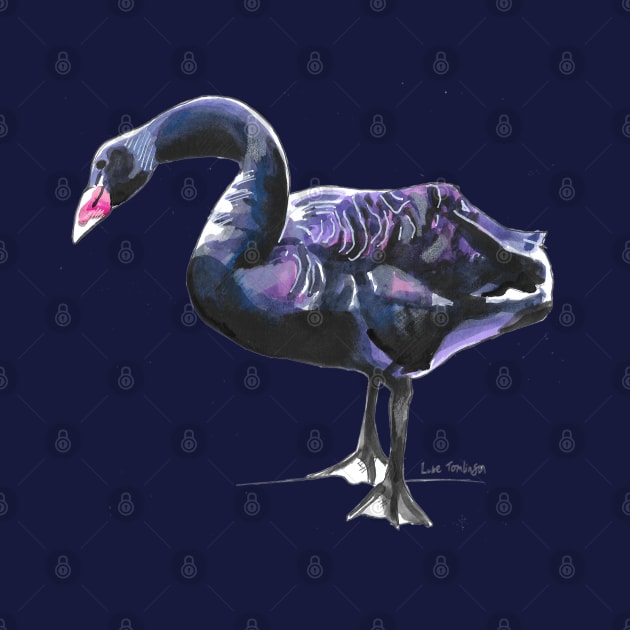 Black Swan 1 by lucafon18