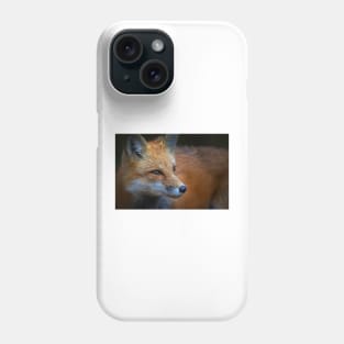 Red Fox, Algonquin Park, Canada Phone Case