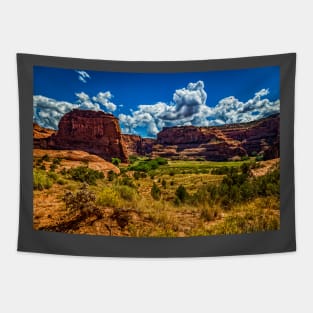 Canyon de Chelly National Monument Tapestry