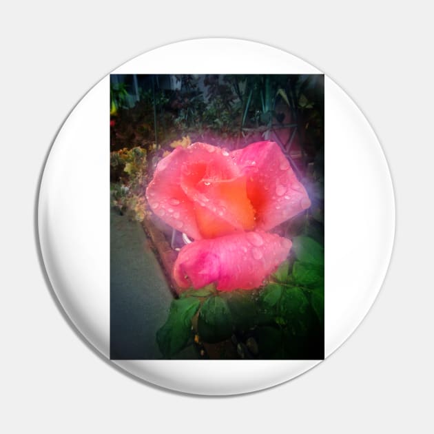 Ghostly Rose Pin by Photography_fan