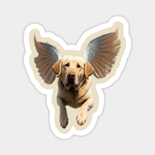 Flying labrador Magnet