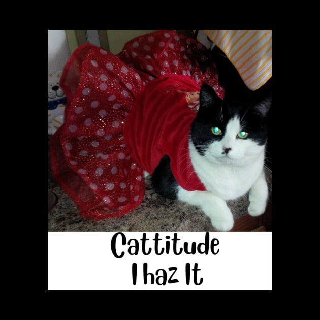 Tuxedo Cat in a Dress with Attitude by C&BFamilyCrafts