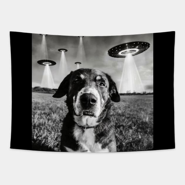 Dog Selfie With Aliens UFO Tapestry by Megadorim