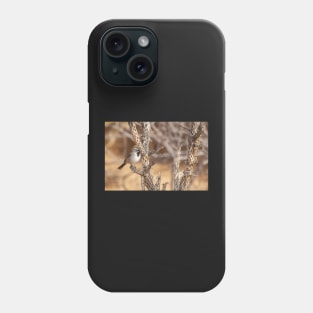 Black-Throated Sparrow Phone Case