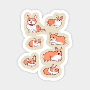 Corgi Pups Magnet