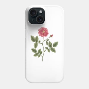 Wild Rose Flower Vintage Botanical Illustration Phone Case