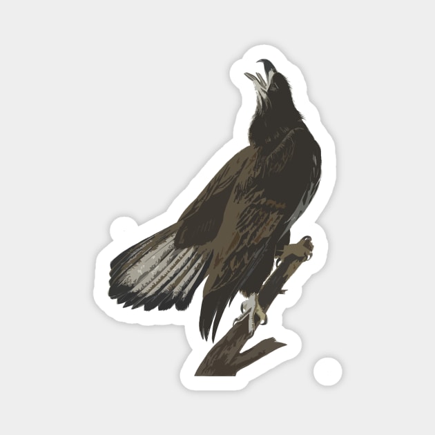 White headed eagle Magnet by ArianJacobs