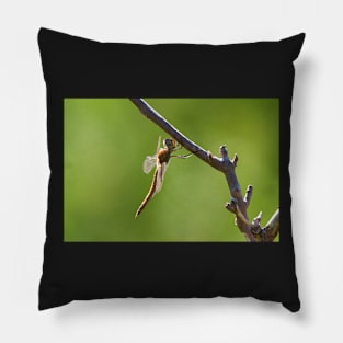 Hanging Tuff Pillow