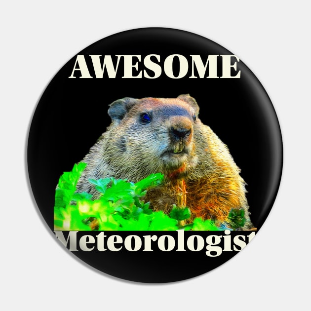 Groundhog Day Meteorologist Pin by KathyG'sArt