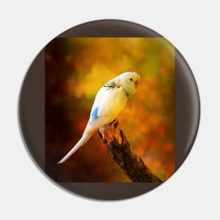 White Budgie Parakeet Pin