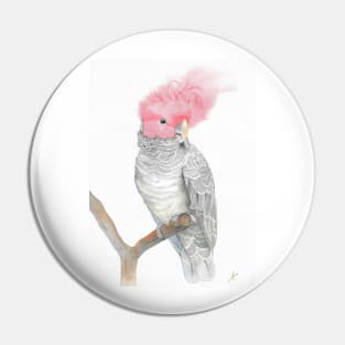 gang gang red head cockatoo parrot watercolor painting Pin