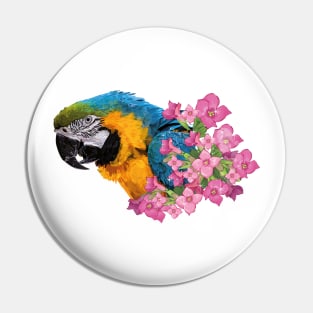 Blue and yellow macaw Pin