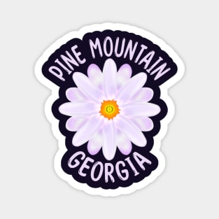 Pine Mountain Georgia Magnet