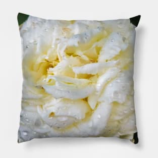 White flower with fattening drops Pillow